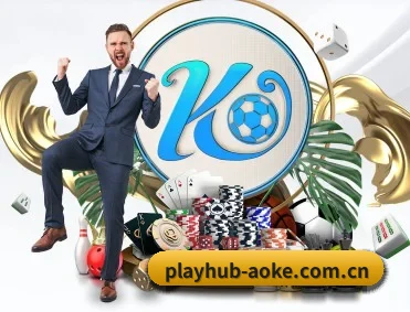 playhub-aoke.com.cn APP | aoko